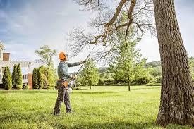 Best Tree Health Inspection  in Lyons, OR